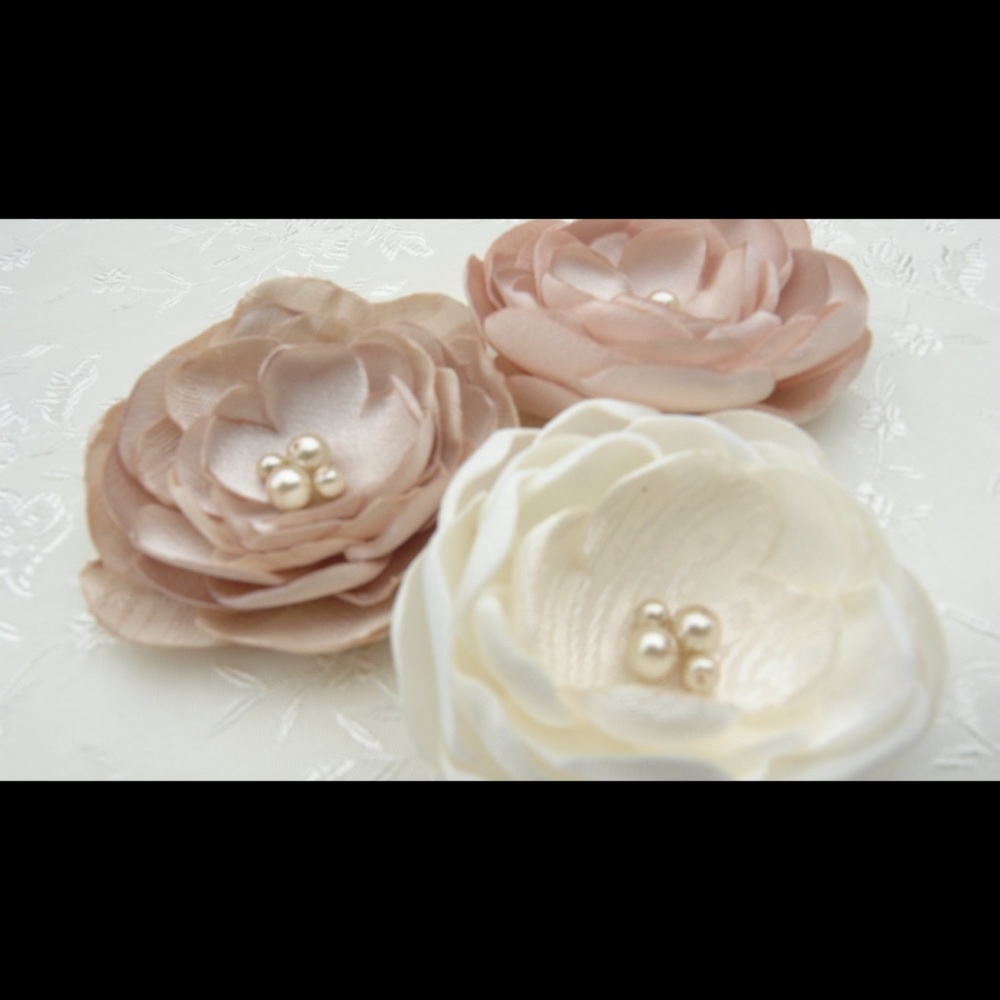 COPY - Hair clips